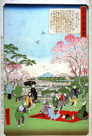 Utagawa Hiroshige III: Flower Viewing at Asuka Hill (Asukayama hanami) from a series Famous Spots in Edo - Legion of Honor