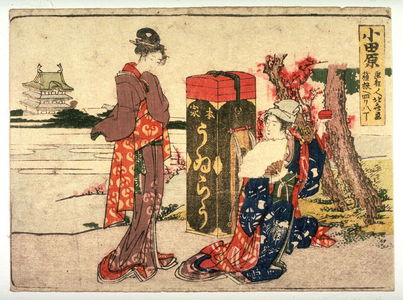 葛飾北斎: Odawara, no. 10 from an untitled Tokaido series (reissue of Hokusai's Tokaido series for poetry circle of Okazaki) - Legion of Honor