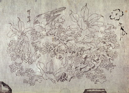 Kawanabe Ky?sai: Untitled (Parrot and Cicada on Magnolia, sketch of Plum Blossom) thirteenth of a group of thirteen proofs from the key blocks of fan prints combining genre and floral studies - Legion of Honor