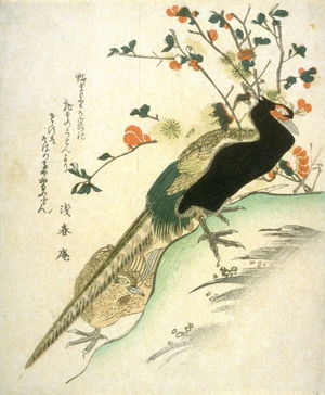 無款: Peacocks - Legion of Honor