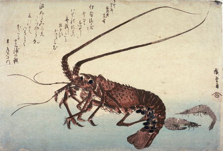 Utagawa Hiroshige: Untitled (Lobster and Two Shrimp),one of ten from an untitled series of fish - Legion of Honor
