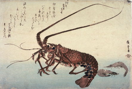 歌川広重: Untitled (Lobster and Two Shrimp),one of ten from an untitled series of fish - Legion of Honor