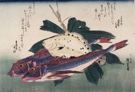 歌川広重: Untitled (Kanagashira, Konohakarei, Bamboo Grass),one of ten from an untitled series of fish - Legion of Honor