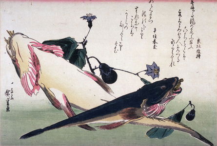Utagawa Hiroshige: Untitled (Two Kochi and Eggplants),one of ten from an untitled series of fish - Legion of Honor