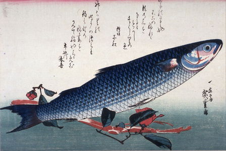 歌川広重: Untitled (Bora, Udo, and Camellia),one of ten from an untitled series of fish - Legion of Honor