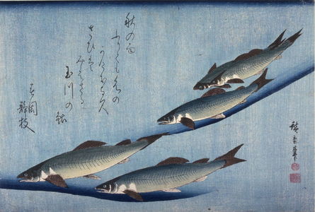 歌川広重: Untitled (Five Swimming Ayu),one of ten from an untitled series of fish - Legion of Honor