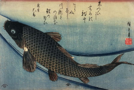 Utagawa Hiroshige: Untitled (Swimming Carp), one from a series of large fish - Legion of Honor