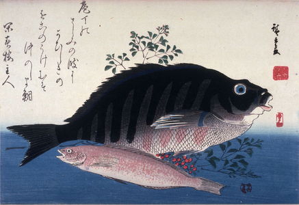 歌川広重: Untitled (Shimadai, Ainame, and Nandina), one from a series of large fish - Legion of Honor
