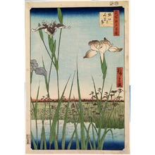 歌川広重: Irises at Horikiri (Horikiri no hana sh?bu), no. 56 from the series One Hundred Views of Famous Places in Edo (Meisho Edo hyakkei) - Legion of Honor