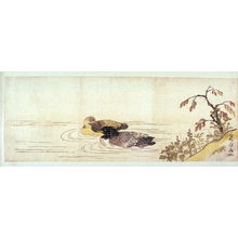 Katsuma Ryusui: [Two ducks swimming past flowers] - Legion of Honor