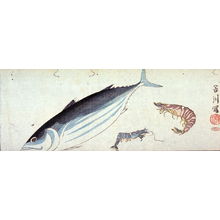 Unknown: [Bonito and two prawns] - Legion of Honor