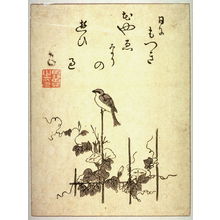 Unknown: [Morning glories and small bird] - Legion of Honor