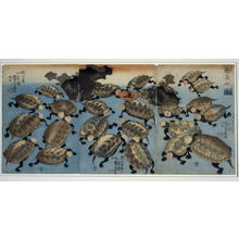 Utagawa Kuniyoshi: Strange and Wondrous Immortal Turtles - Legion of Honor