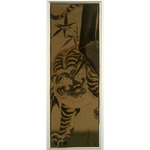 無款: Tiger and Bamboo - Legion of Honor