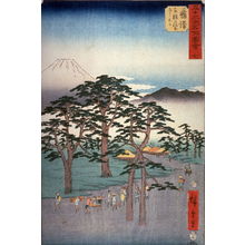 Utagawa Hiroshige: Mt. Fuji on the Left, from the Pine Groves near Fujisawa (Fujisawa nanki no matsubara hidari fuji, no. 7 from the series Famous Places near the Fifty-three Stations of the Tokaido (Gojusantsugi meisho zue) - Legion of Honor