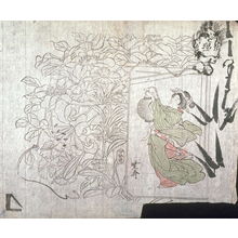 Kawanabe Ky?sai: Untitled (Lilies, Pinks, Clematis, Young Woman with Lantern, Sketch of Face and Bamboo) fifth of a group of thirteen proofs from the key blocks of fan prints combining genre and floral studies - Legion of Honor