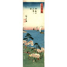 Utagawa Hiroshige: Cherry Trees in Full Bloom at Goten Hill (Gotenyama hanazakari no zu), Gotenyama hanazakari no zu) from a series Famous Places in the Eastern Capital (Toto meisho no uchi) - Legion of Honor