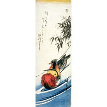 Utagawa Hiroshige: Untitled (Mandarin Ducks in Stream) - Legion of Honor