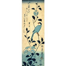 Utagawa Hiroshige II: Paddy Bird and Camellia (Buncho and Sasanqua) - Legion of Honor