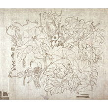 Kawanabe Ky?sai: Untitled (Morning Glories and Two Birds) eleventh of a group of thirteen proofs from the key blocks of fan prints combining genre and floral studies - Legion of Honor
