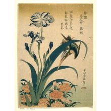 葛飾北斎: Kingfisher and Blue Iris - Legion of Honor
