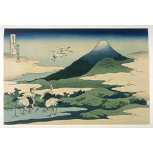 Katsushika Hokusai: To the Left of Umezama in Sagami Privince - No.27 from: 36 Views of Fuji - Legion of Honor