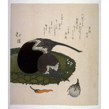 Totoya Hokkei: Eggplants and Red Pepper, facsimile of print by Hokkei from the set of Three Lucky Dreams originally published in late 1820s - Legion of Honor