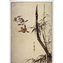 喜多川歌麿: Three Sparrows and Bamboo - Legion of Honor