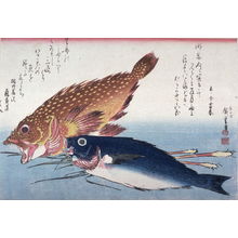 Utagawa Hiroshige: Untitled (Kasago, Isaki, and Ginger?),one of ten from an untitled series of fish - Legion of Honor