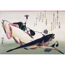 歌川広重: Untitled (Two Kochi and Eggplants),one of ten from an untitled series of fish - Legion of Honor