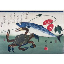 歌川広重: Untitled (Mackerel, Crab, and Morning Glories), one from a series of large fish - Legion of Honor