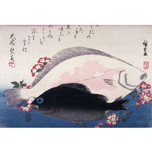 Utagawa Hiroshige: Untitled (Mebaru, Hirame, Cherry Blossoms), one from a series of large fish - Legion of Honor