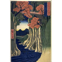 Utagawa Hiroshige: The Monkey Bridge in Kai Province (Kai saruhashi), from the series Pictures of Famous Places in the Sixty-odd Provinces (Rokujuoshu meisho zue) - Legion of Honor