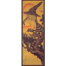 Utagawa Kuniyoshi: Hawk and Nestlings in Pine Tree - Legion of Honor