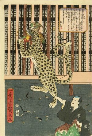 Utagawa Hirokage: An exhibition of a tiger, 1860 - Hara Shobō