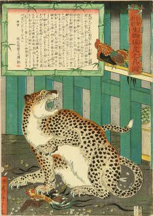 河鍋暁斎: A picture of a tiger, 1860 - 原書房