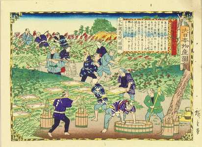 Utagawa Hiroshige III: Digging pueraria root in Yamato Province, from - Hara Shobō