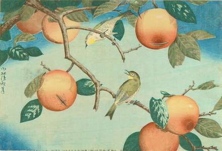 小林清親: White-eye perched on a persimmon tree branch, 1880 - 原書房