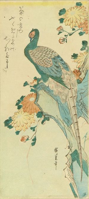 Utagawa Hiroshige: Pheasant perched on a rock with chrysanthemum, c.1832 - Hara Shobō