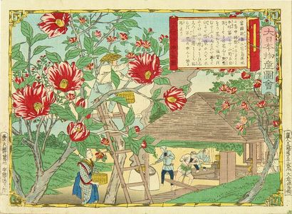 三代目歌川広重: Camellia Oil, Izu Province, from - 原書房