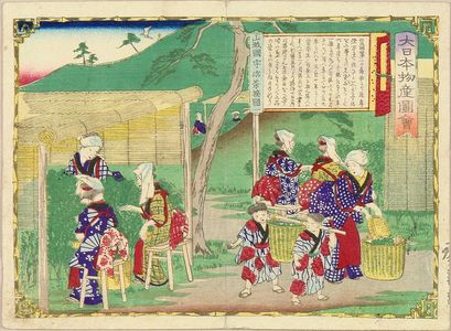 Utagawa Hiroshige III: Tea picking, Yamashiro Province, from - Hara Shobō