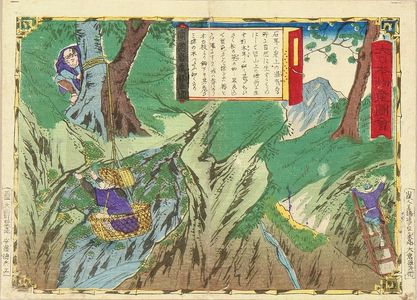 Utagawa Hiroshige III: Iwatake mushroom, Suo Province, from - Hara Shobō