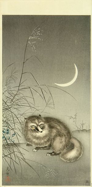 Tsuchiya Koitsu: Badger, 1930s - Hara Shobō