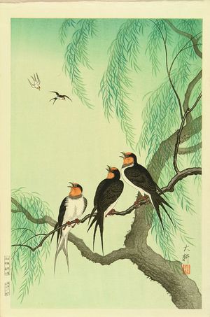 DAIKO: Swallows perched on a willow branch - Hara Shobō