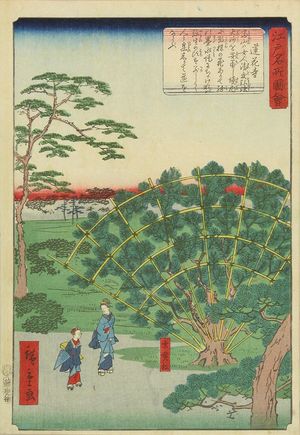 二歌川広重: Renge Temple, from - 原書房