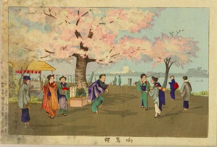 小林清親: Cherry blossoms at Kukojima, from - 原書房
