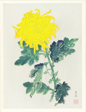 KATAYAMA NAMPU: Chrysanthemum, limited edition of 250 - Hara Shobō