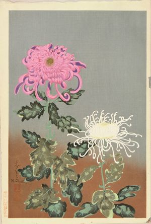 ONO BAKUFU: Chrysanthemum - 原書房