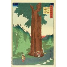 Utagawa Hiroshige II: Yatate Pine tree Kai Province, from - Hara Shobō