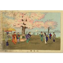 小林清親: Cherry blossoms at Kukojima, from - 原書房